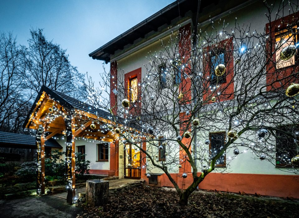 Zoopark advent
