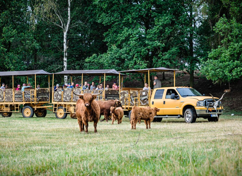 Safari expres