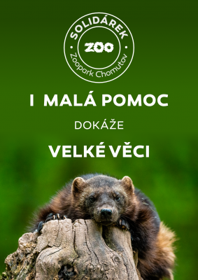 Solidárek